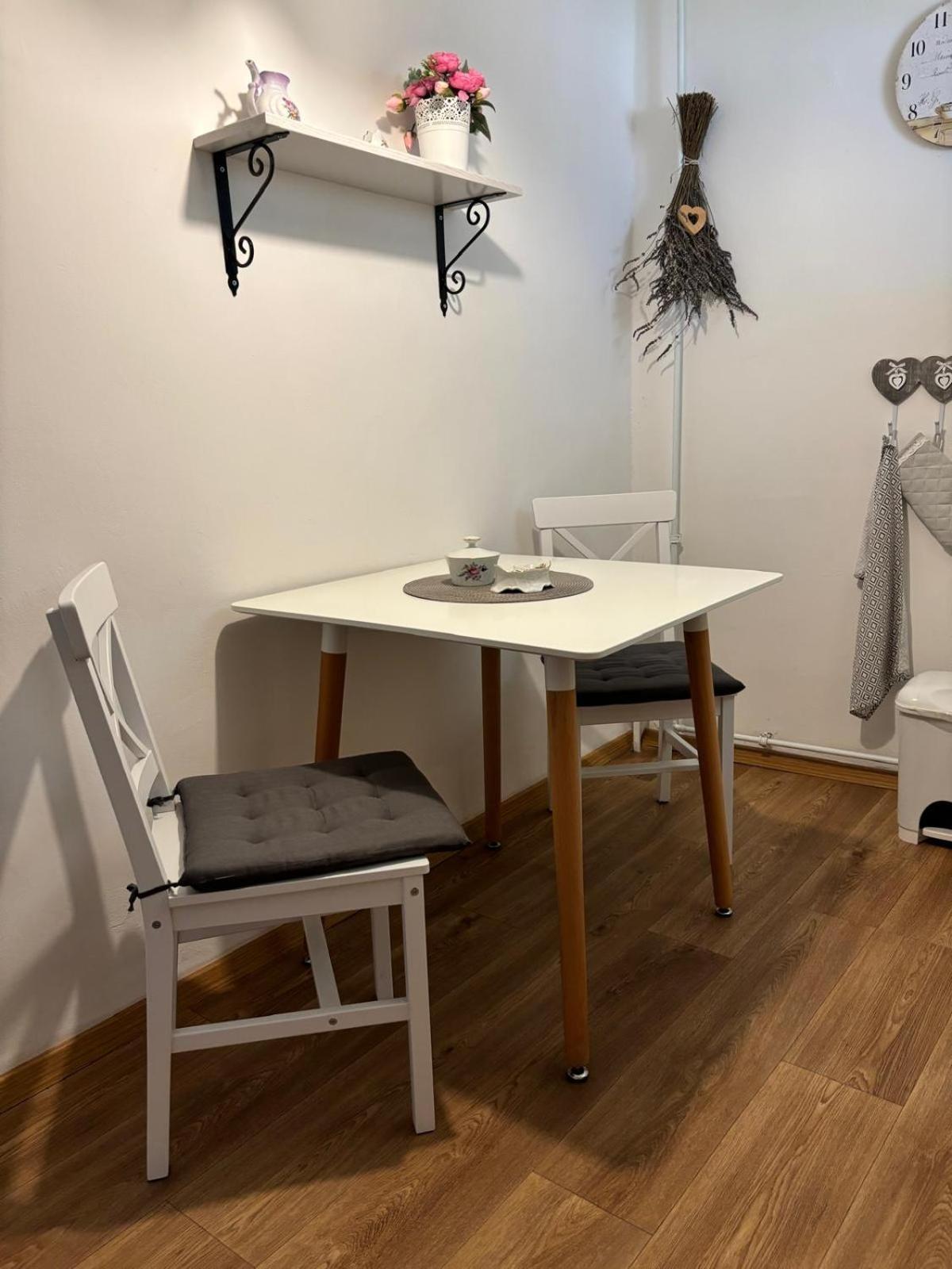 Apartman Vendy كارلوفي فاري المظهر الخارجي الصورة